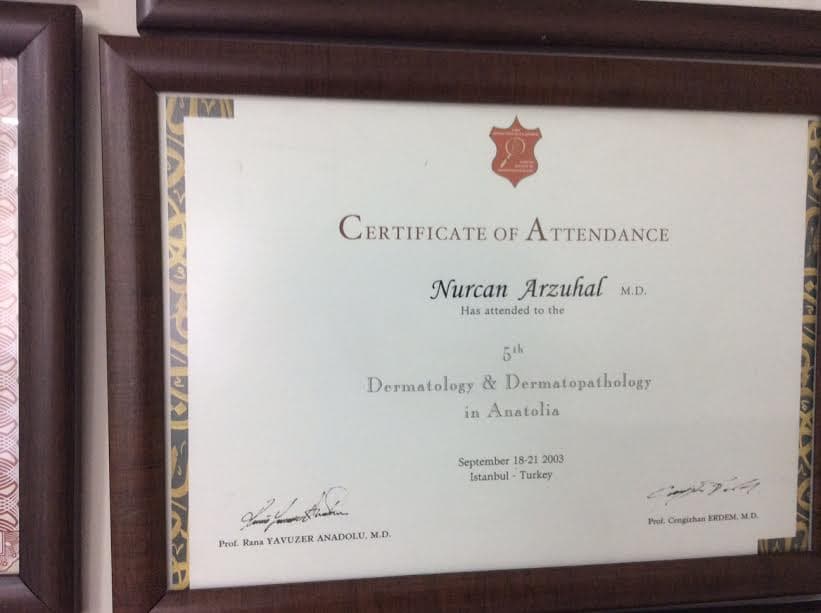 Certificate of Attendance