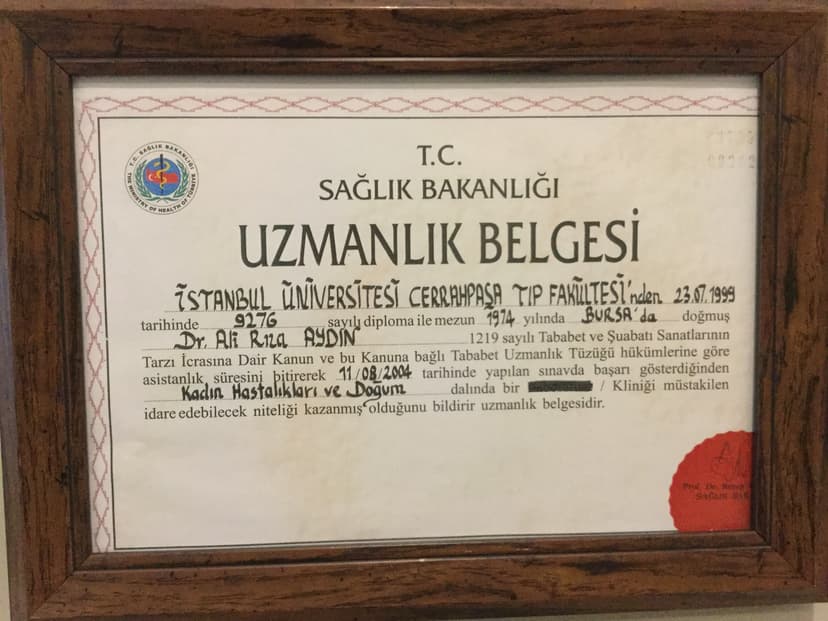 Uzmanlık Belgesi