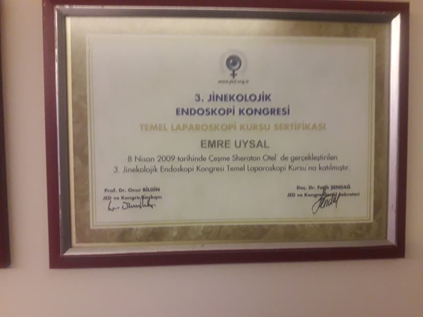 Jinekolojik Endoskopi