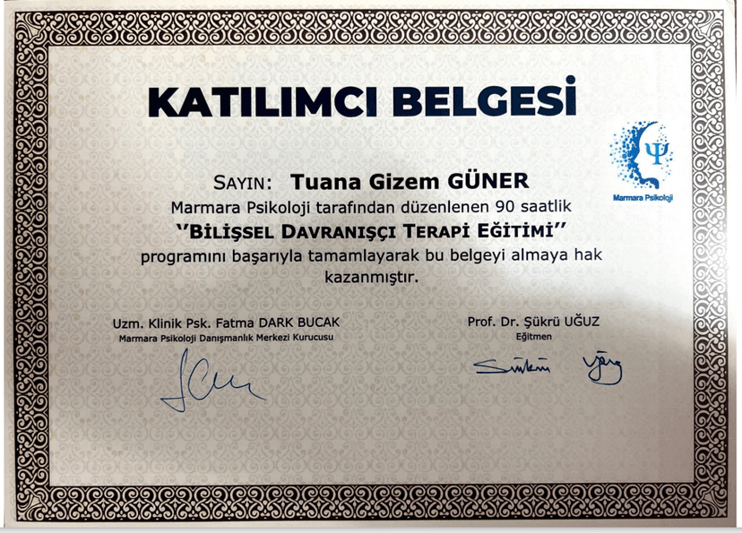 Bilişsel Davranışcı Terapi