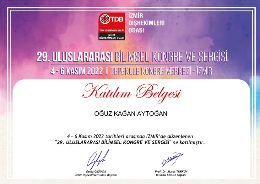 BAŞARI SERTİFİKALARI