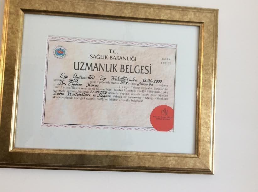 Uzmanlık Belgesi