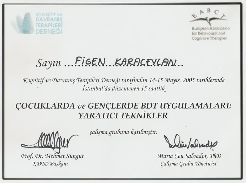 Çocuklarda ve Gençlerde BDT Uygulamaları