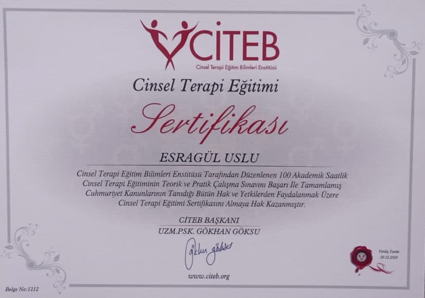 Cinsel Terapi