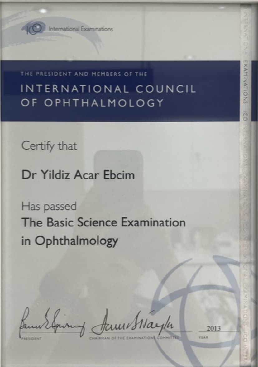 international council of opthalmology