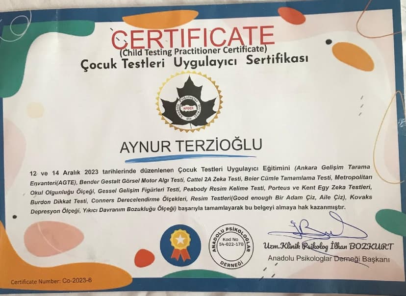 ÇOCUK TESTLERİ VE UYGULAYICI SERTİFİKASI