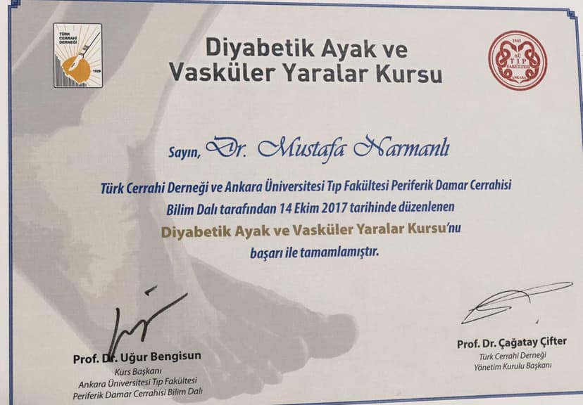 Diyabetik Ayak ve Vasküler Yaralar Kursu