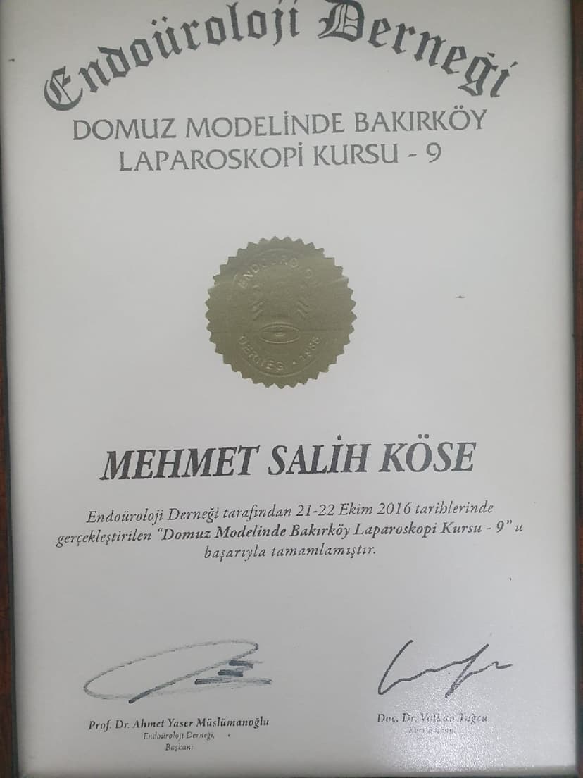 Endoüroloji Derneği Domuz Modelinde Laparoskopi Kursu(2016)