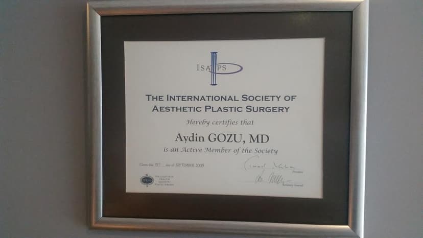 The International Society Of Aesthetic Plastic Surgery