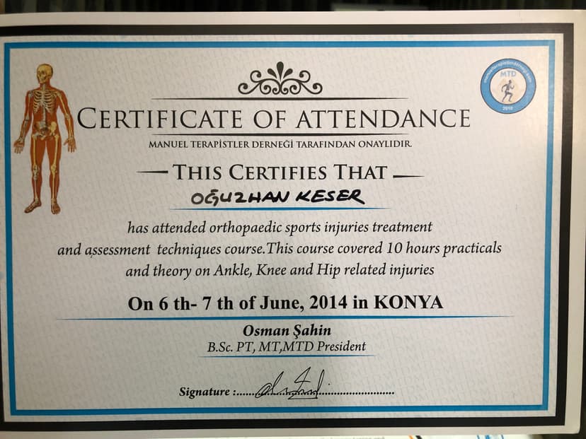 Manipülasyon-mobilizasyon