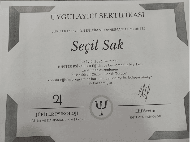 Kısa Süreli Çözüm Odaklı Terapi