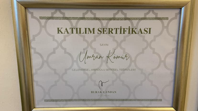 Geleneksel Anadolu Bitkisel Tedavileri