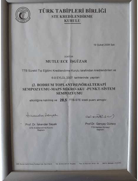 2.BODRUM TOPLANTISI - NÖRALTERAPİ SEMPOZYUMU - MAPS MİKRO - AKUPUNKT SİSTEM SEMPOZYUMU