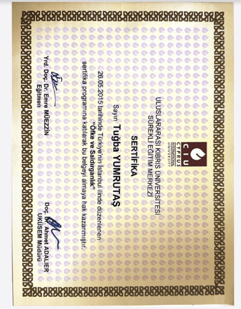 Öfke ve Saldırganlık