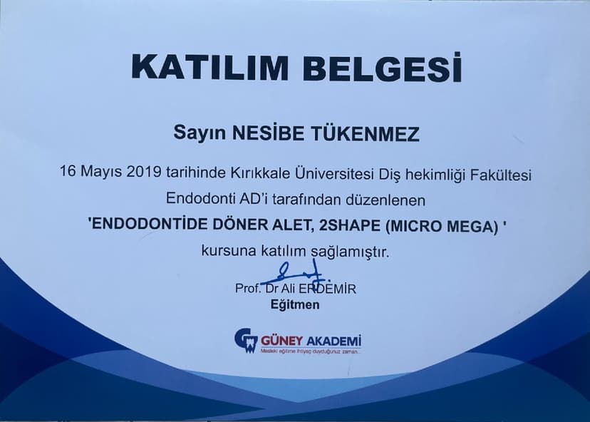 Endodontide Döner Alet, 2Shape (Mıcro Mega)