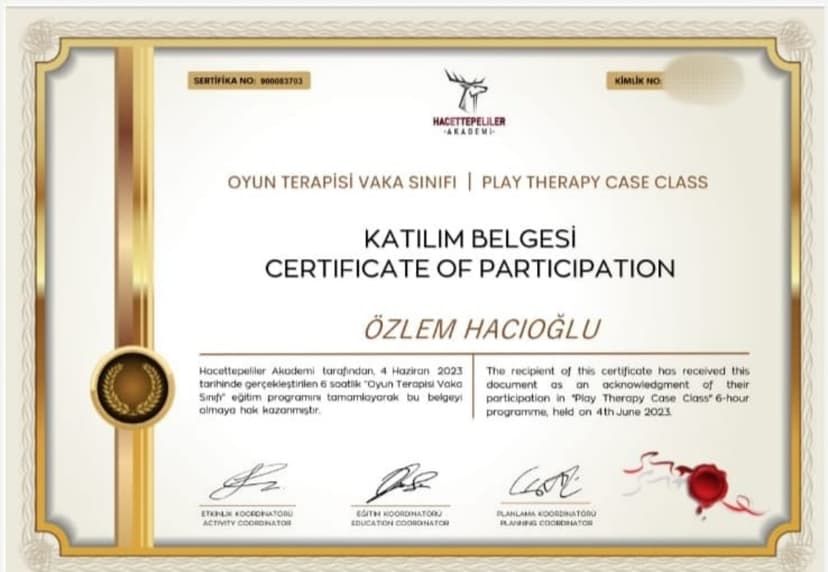 Oyun Terapisi vaka Sınıfı