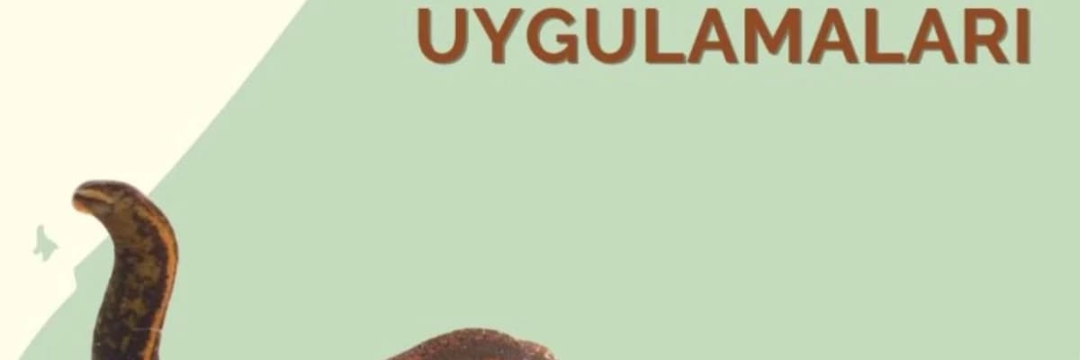 Tıbbi Sülük Uygulamaları