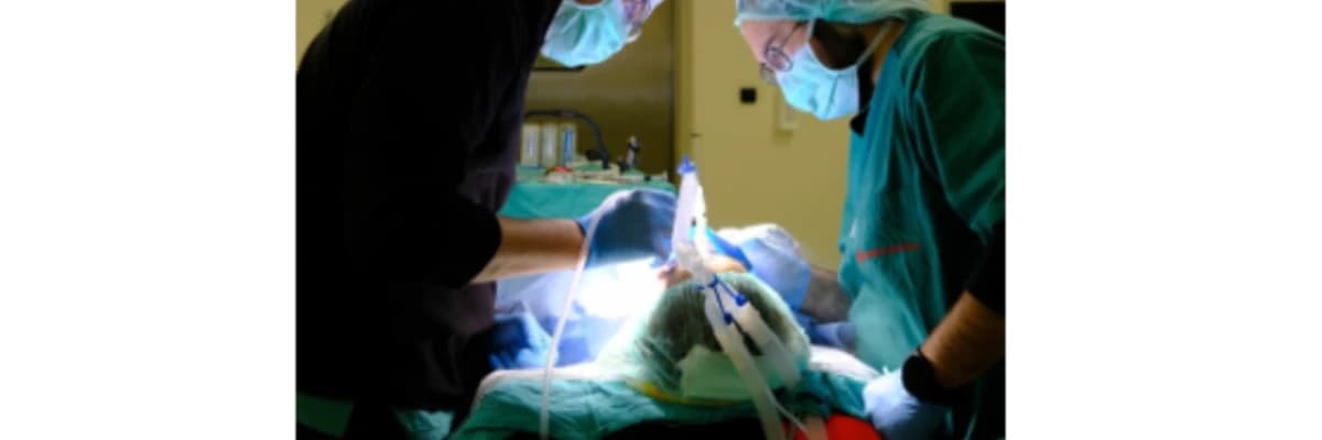 Bursa'da Genel Anestezi ve Sedasyon ile Uyutarak Diş Tedavisi