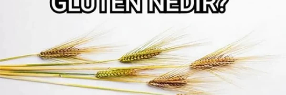 Gluten nedir?