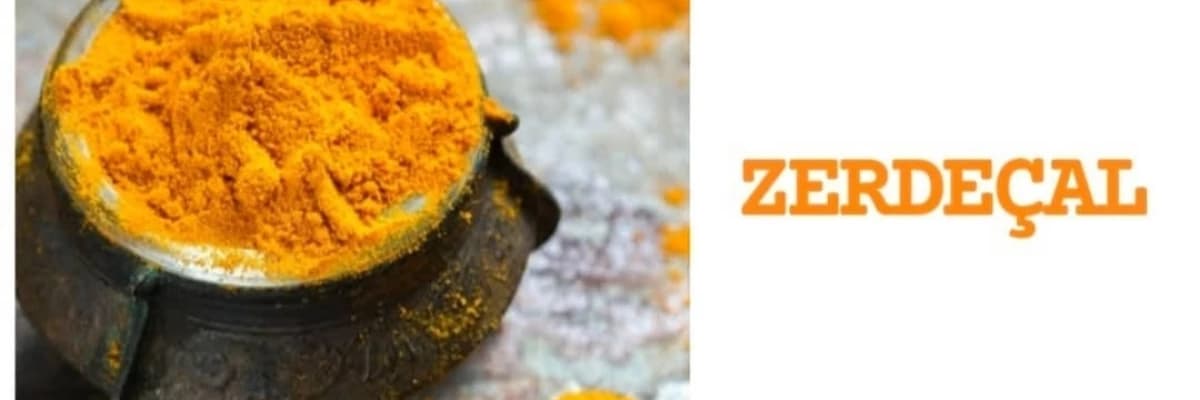 Zerdeçal