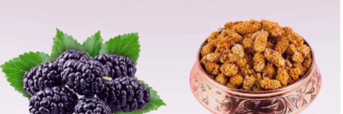 Tepeden tırnağa şifa = Dut