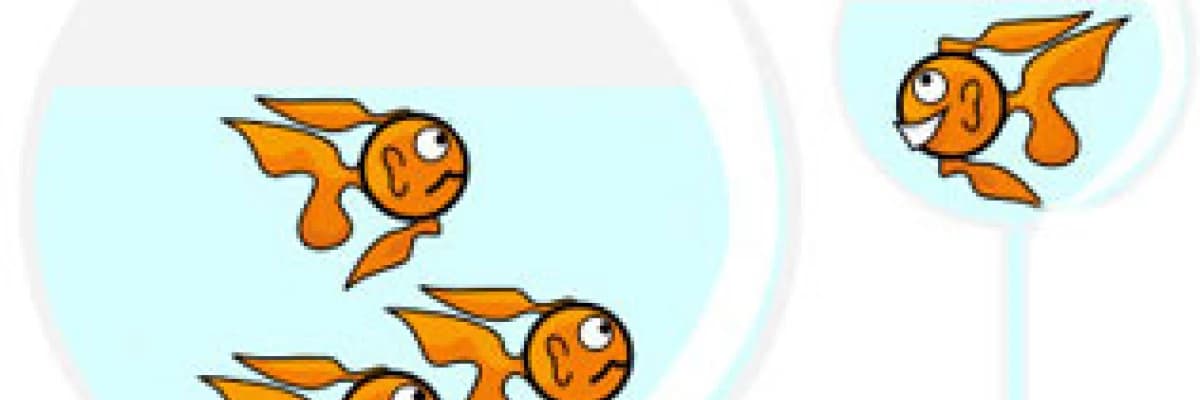 Kardeş kıskançlığı!