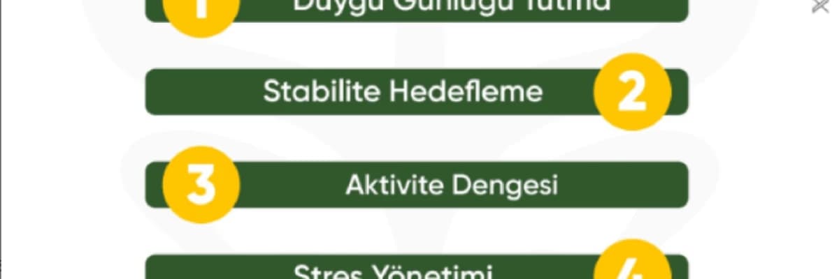 Bipolar Bozukluk ile Nasıl Başa Çıkarız ?