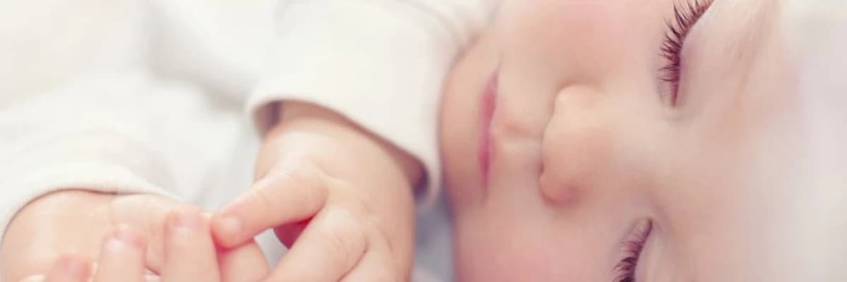 A 'dan z 'ye tüp bebek