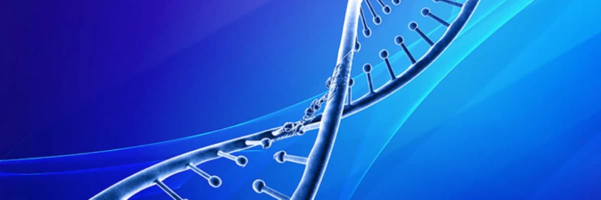 Gelecek nesil tarama (NGS) nedir?