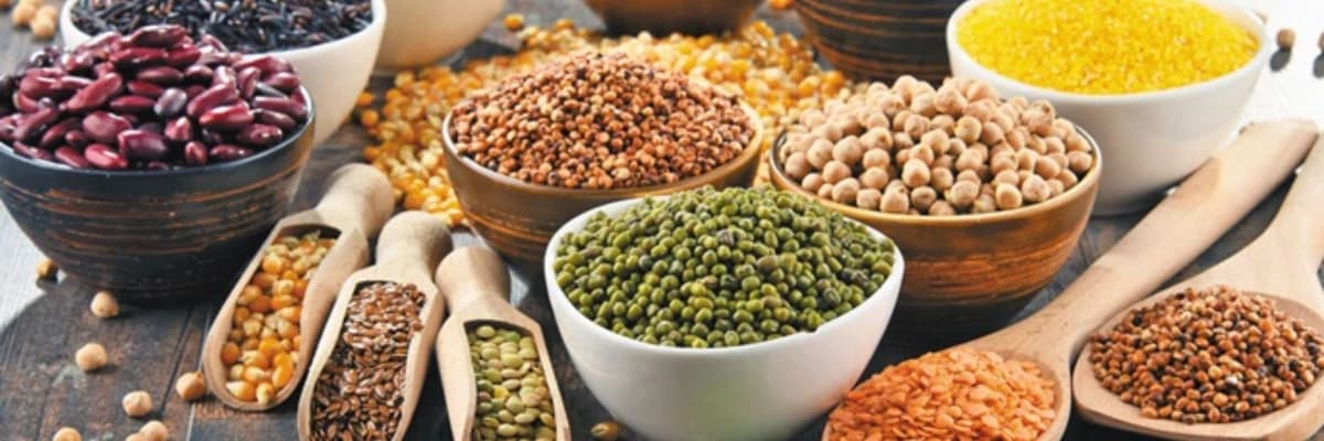 Et yerine geçecek besinler