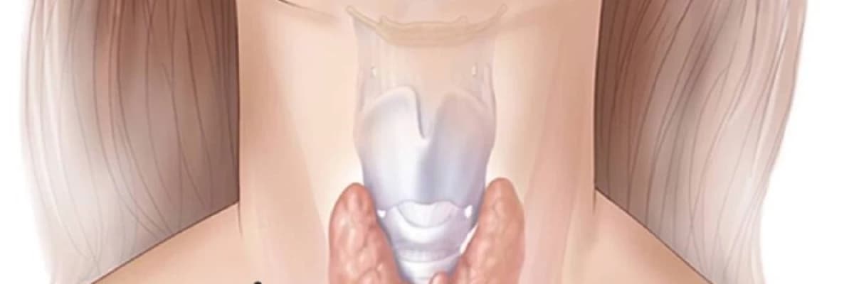 Tiroid Hastalıkları -Paratiroid Hastalıkları