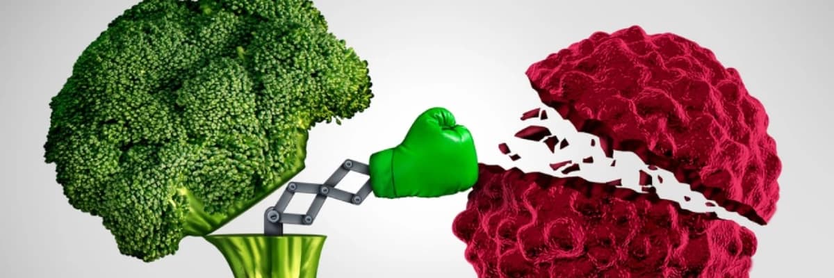 Besin kaynaklı antioksidan vitamin alımı ile meme kanseri riski arasındaki ilişki