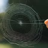 Fobilerin Sürdürülmesinde Metakognitif İnançların Rolü ve Metakognitif Terapi Yaklaşımı