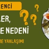 İnsülin Direnci: Belirtiler, Kilo Verememe Nedeni ve Kişiye Özel Beslenme Yaklaşımı