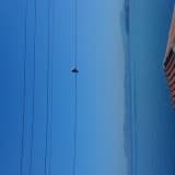 Klinik Psikolog Mine H