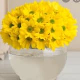 Prof. Dr. BİLİM CANTURK Profil Fotoğrafı