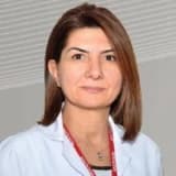 Prof. Dr. Sevil Işık