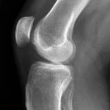 Doç. Dr. Sancar Serbest