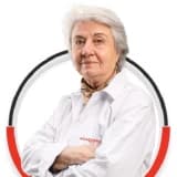 Prof. Dr. Emel Akoğlu