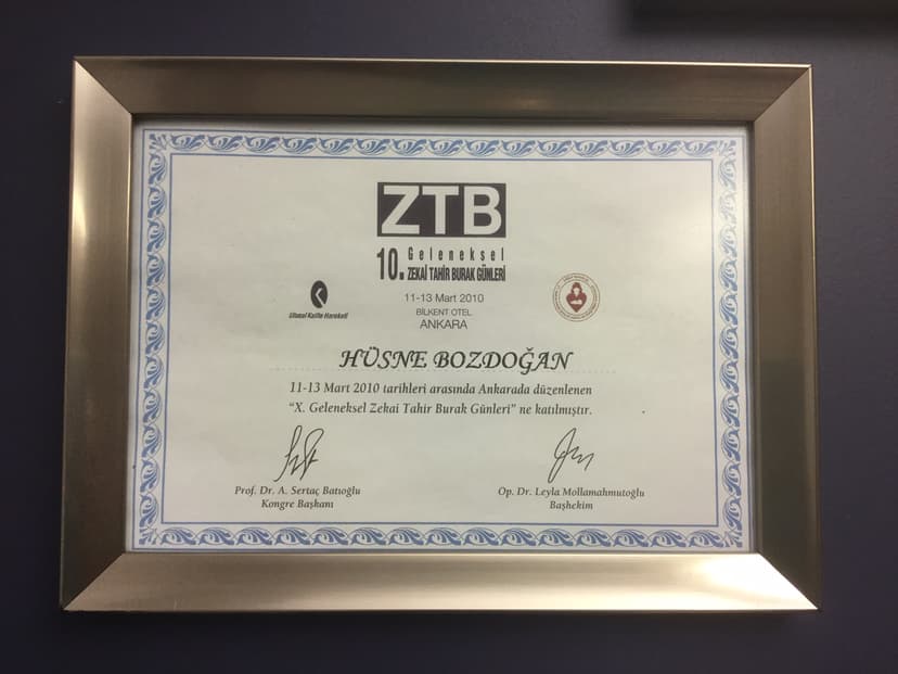 X.GELENEKSEL ZEKAİ TAHİR BURAK GÜNLERİ