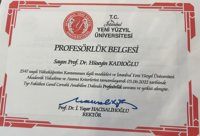 Profesörlük Belgesi
