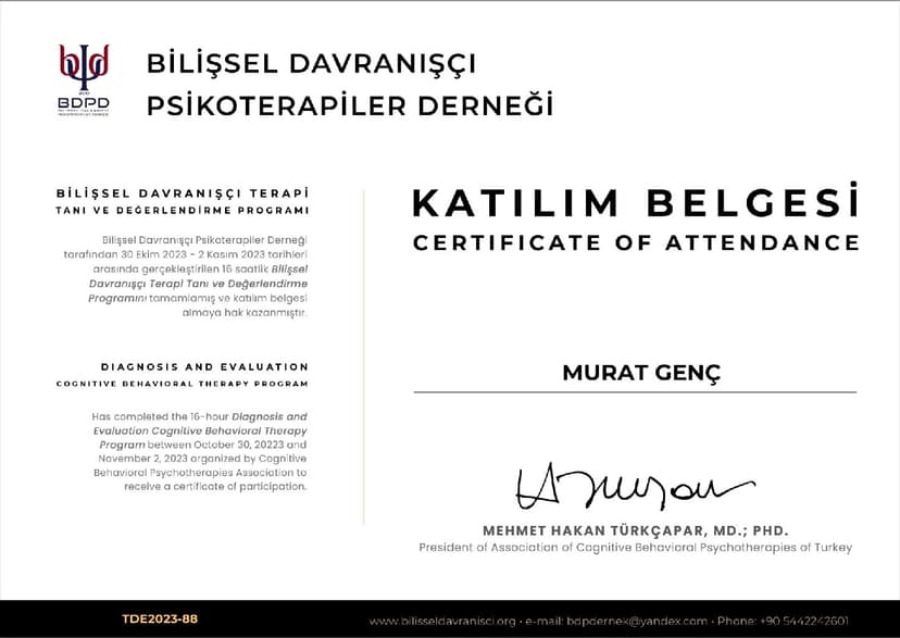 Bilişsel Davranışçı Terapi Tanı ve Değerlendirme Programı